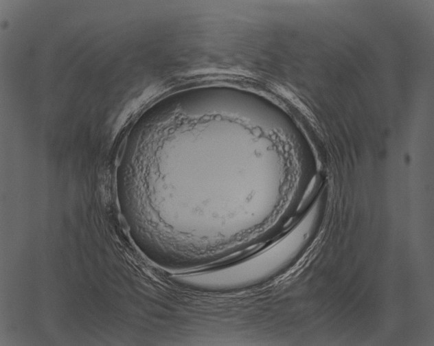 X0000062621357200601111023