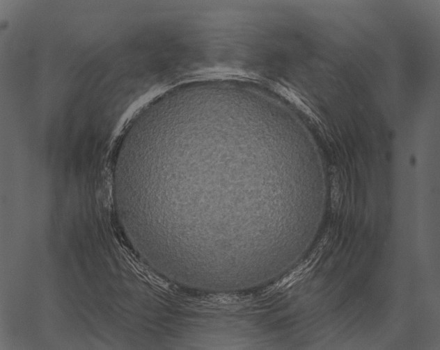 X0000062621358200601111023