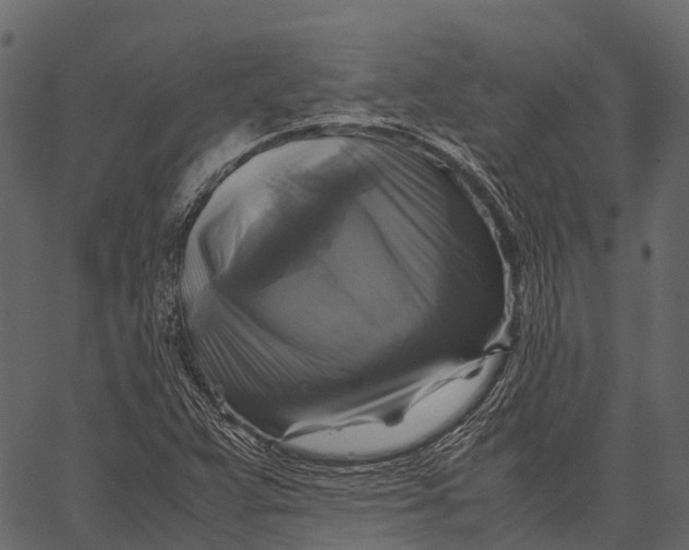 X0000062621359200601111023