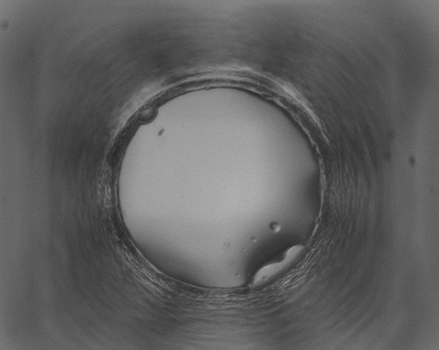 X0000062621360200601111023