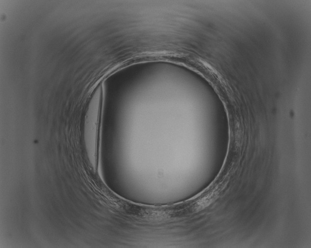 X0000062621361200601111023