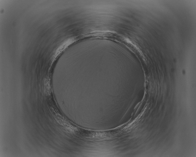 X0000062621362200601111023