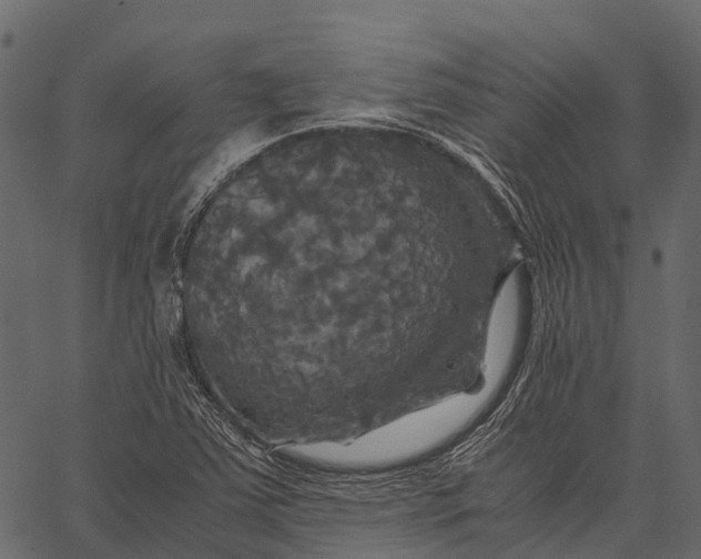 X0000062621363200601111023