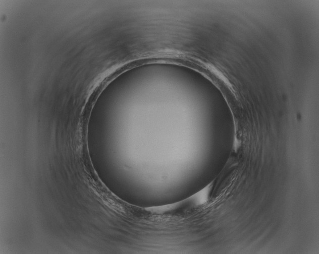 X0000062621364200601111023