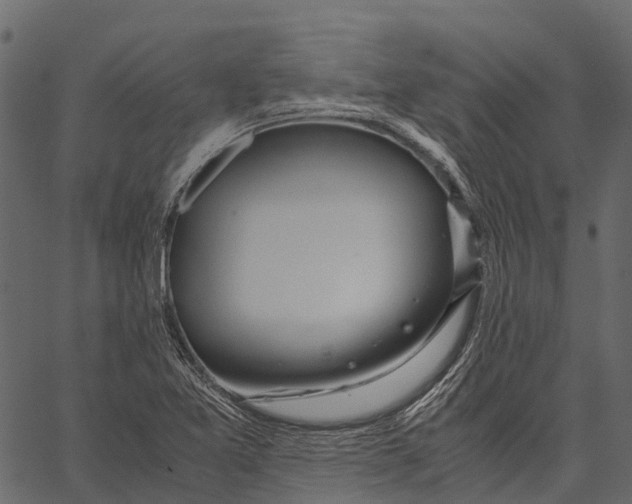 X0000062621365200601111023