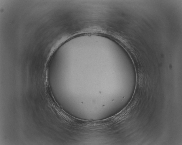 X0000062621366200601111023