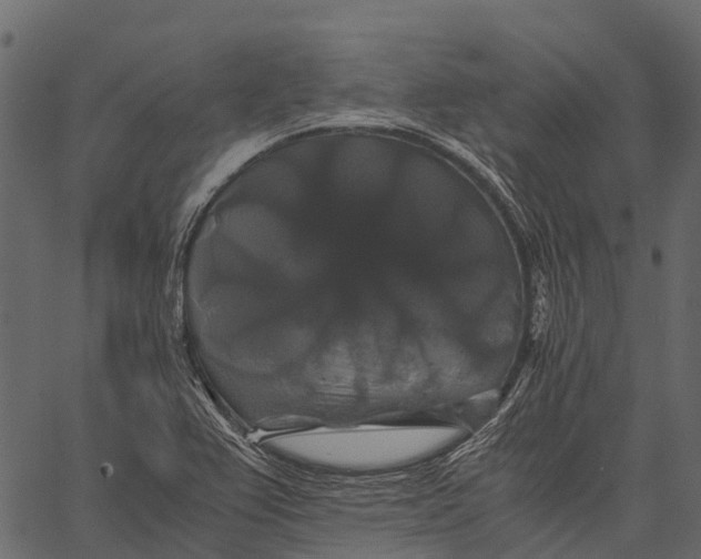 X0000062621367200601111023