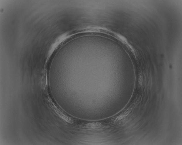 X0000062621368200601111023