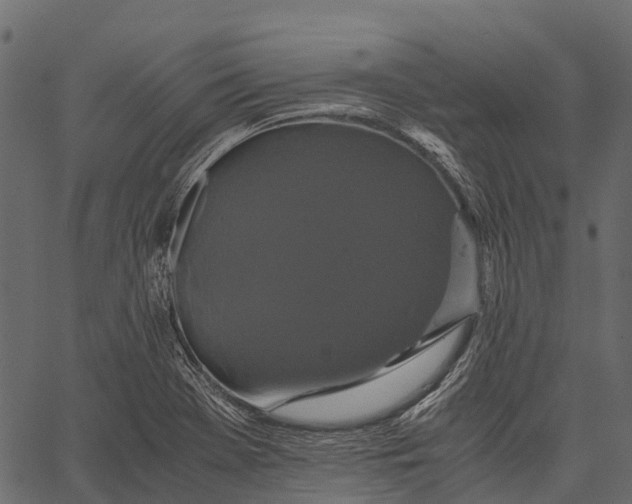 X0000062621369200601111023