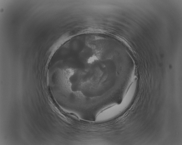 X0000062621371200601111023