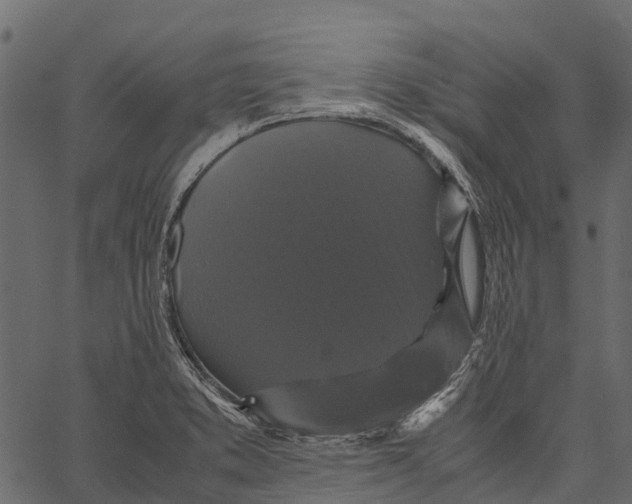 X0000062621373200601111023