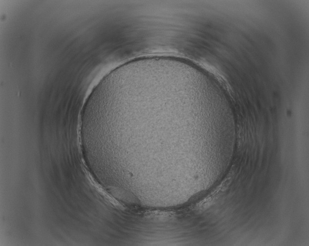 X0000062621374200601111023