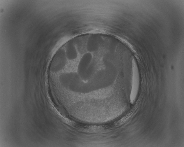 X0000062621375200601111023