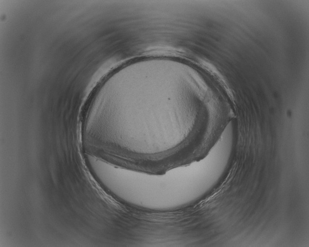 X0000062621376200601111023