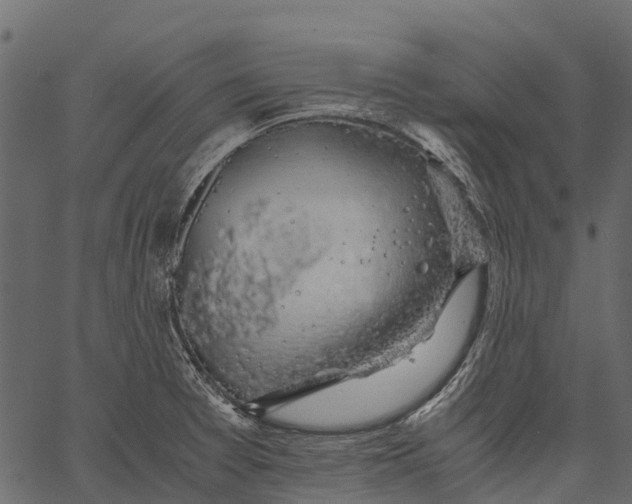 X0000062621377200601111023