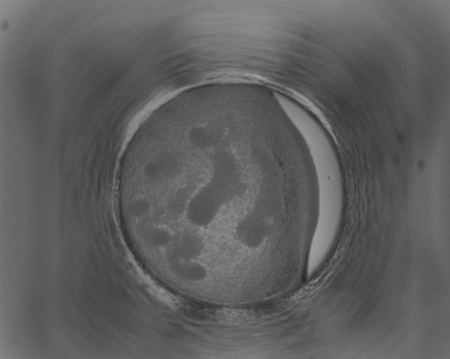 X0000062621379200601111023