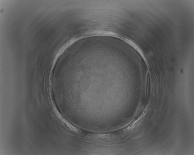 X0000062621381200601111023