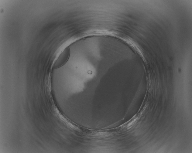 X0000062621382200601111023