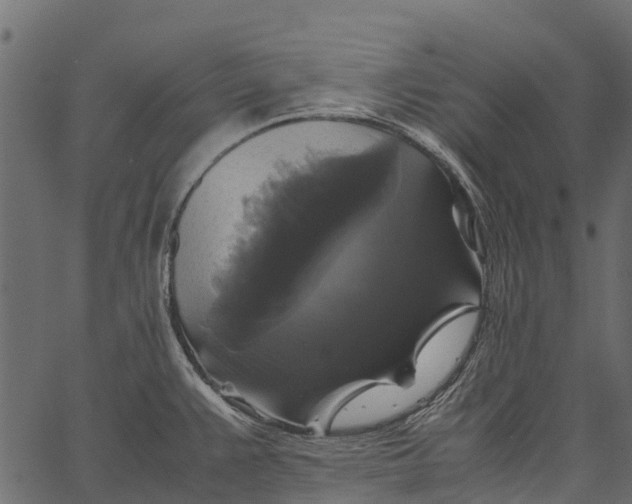 X0000062621383200601111023