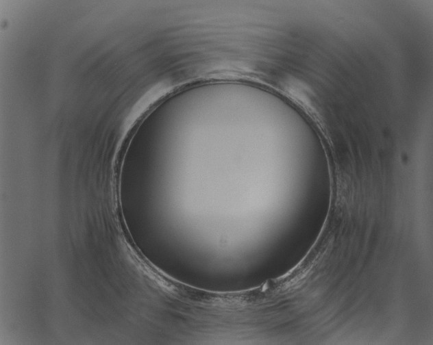 X0000062621384200601111023