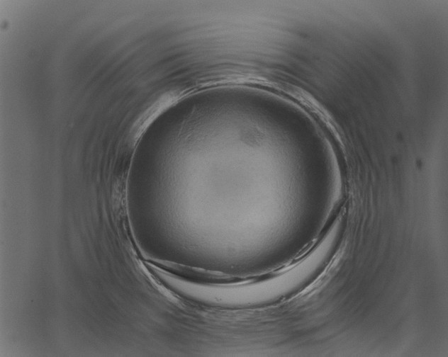 X0000062621385200601111023