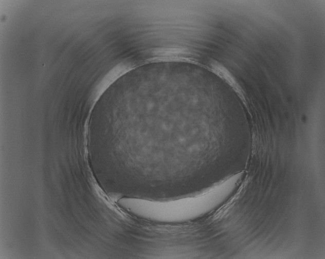 X0000062621386200601111023