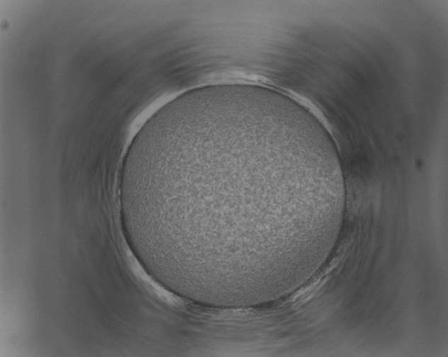 X0000062621387200601111023