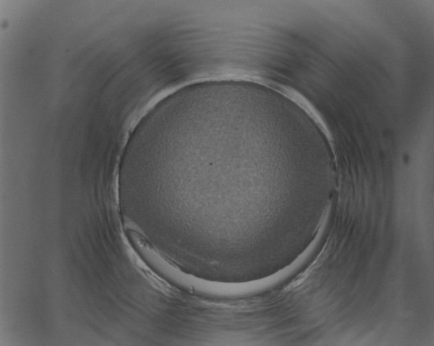 X0000062621388200601111023