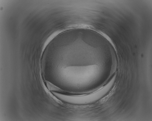 X0000062621389200601111023