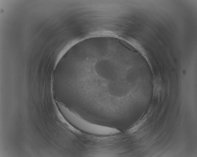 X0000062621390200601111023