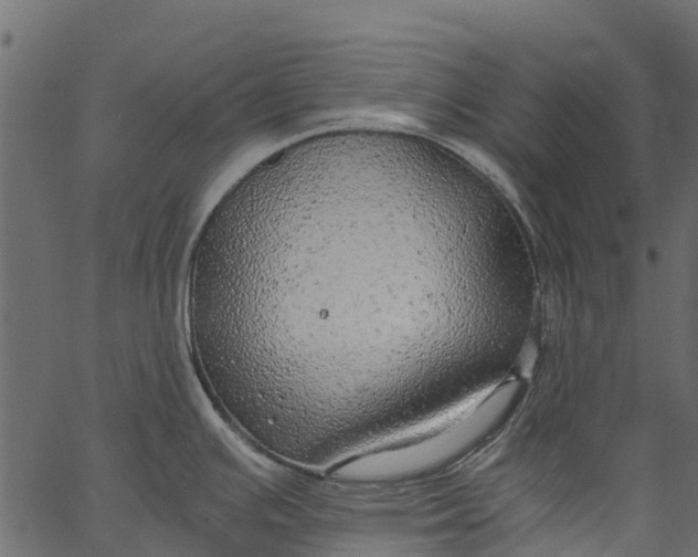 X0000062621391200601111023