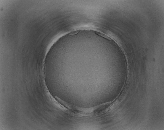 X0000062621392200601111023