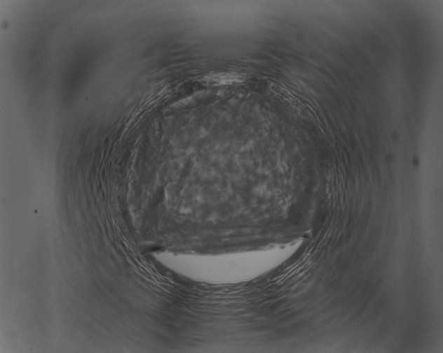 X0000062621393200601111022