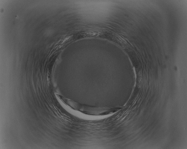 X0000062621394200601111022