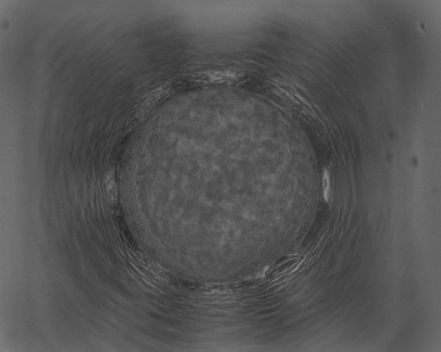 X0000062621395200601111022