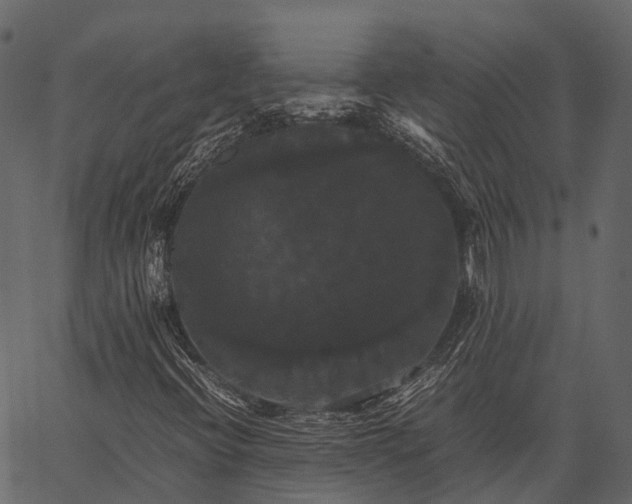 X0000062621396200601111022