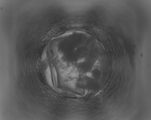 X0000062621397200601111022