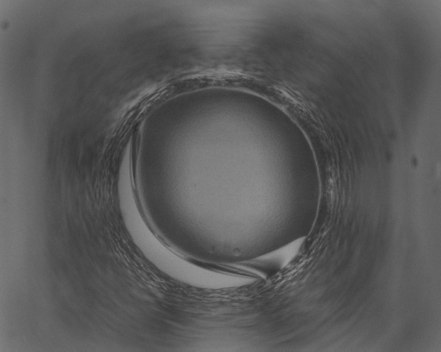 X0000062621398200601111022