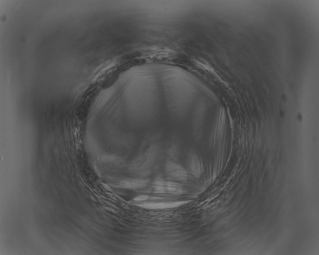 X0000062621399200601111022