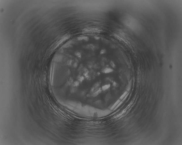 X0000062621401200601111022