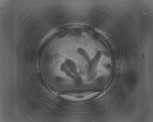 X0000062621403200601111022