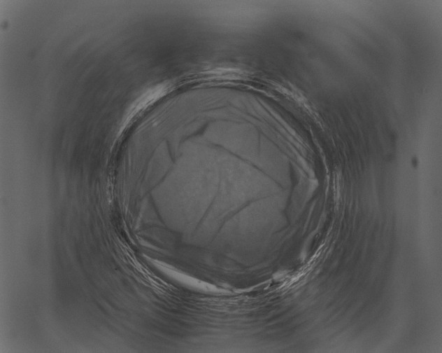 X0000062621405200601111022