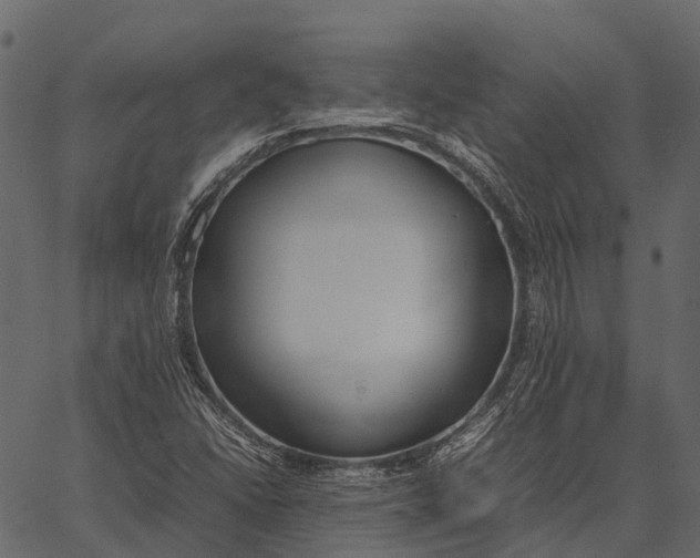 X0000062621406200601111022