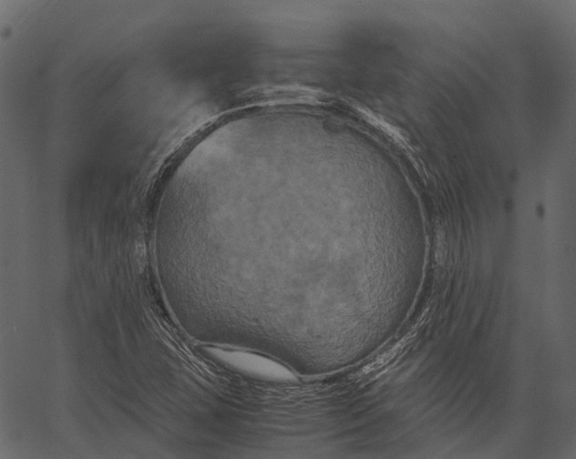 X0000062621407200601111022