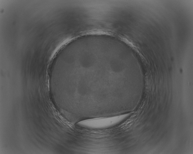 X0000062621408200601111022