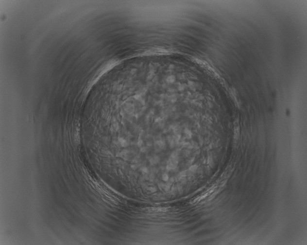 X0000062621409200601111022