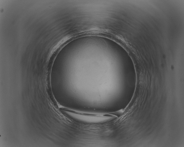 X0000062621410200601111022