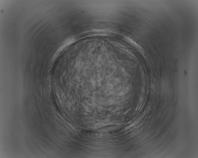 X0000062621411200601111022