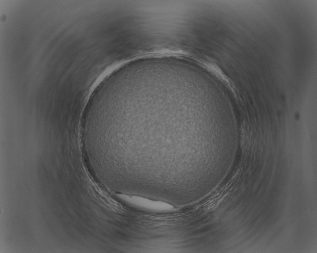 X0000062621412200601111022