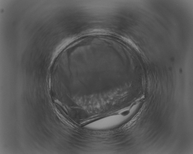 X0000062621413200601111022